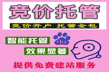 案例分析：竞价SEM托管助力企业转型升级